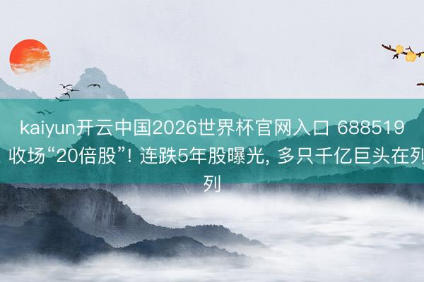 kaiyun开云中国2026世界杯官网入口 688519, 收场“20倍股”! 连跌5年股曝光, 多只千亿巨头在列